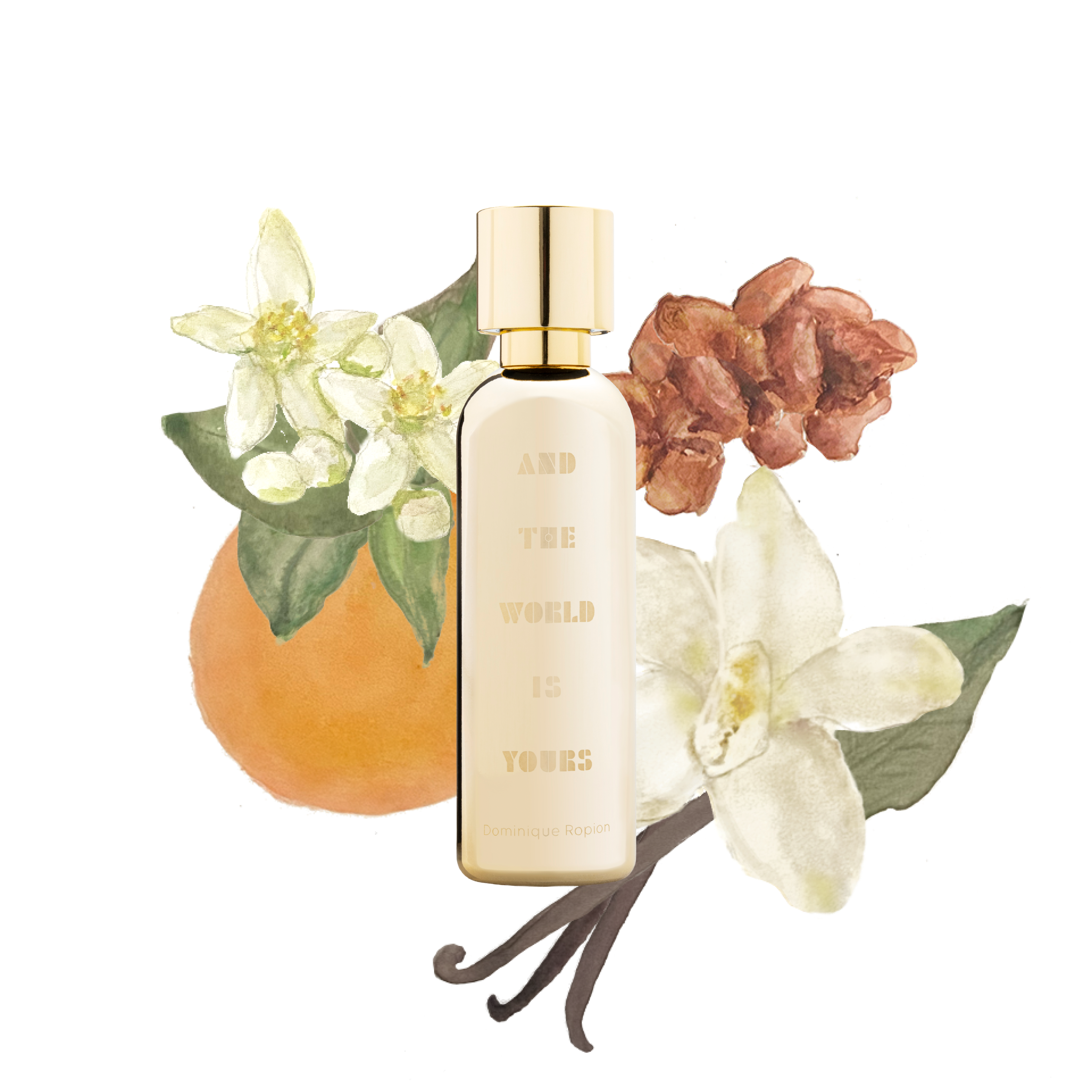And The World Is Yours® 50ML