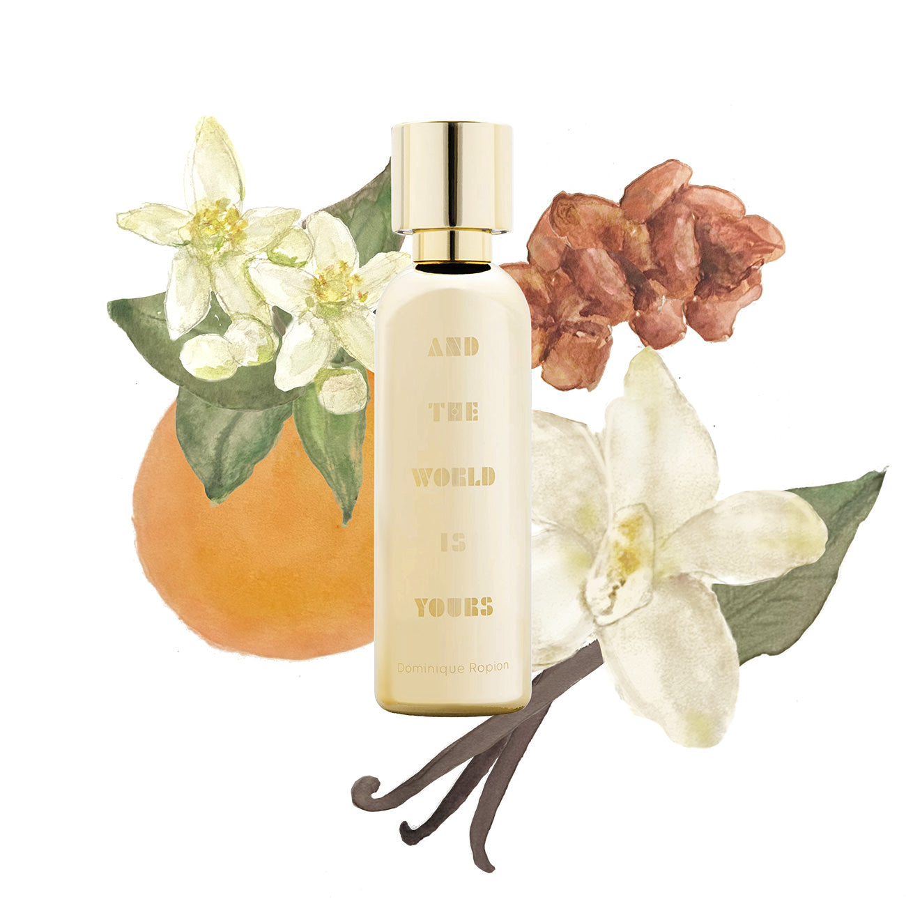 WWDIS: What We Do Is Secret® Official Site